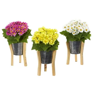 11” Daisy Artificial Arrangement in Tin Vase (Set of 3)