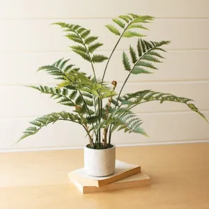 Artificial Fern In Cement Pot