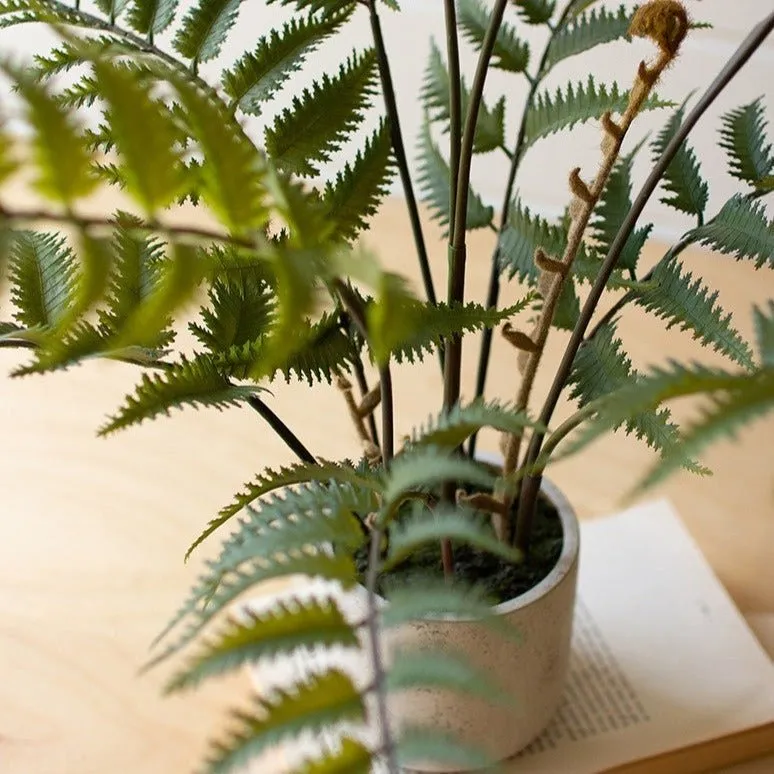 Artificial Fern In Cement Pot