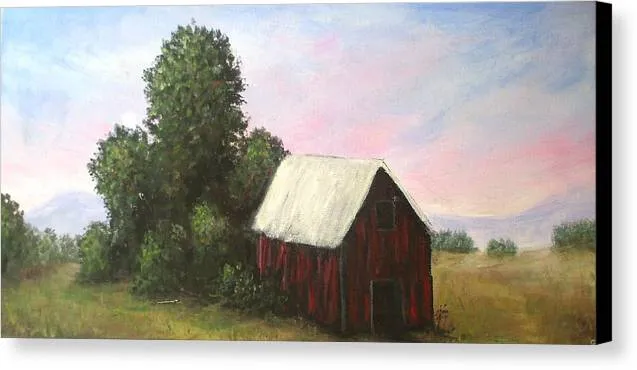 Barn Out Back  - Canvas Print