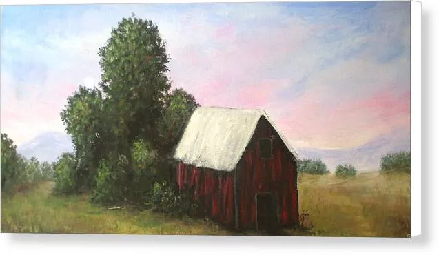 Barn Out Back  - Canvas Print