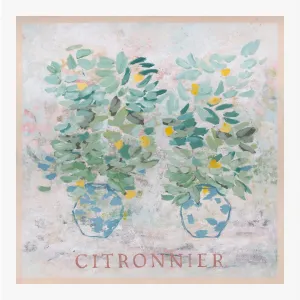 Citronnier Canvas Print 100Cm x 100Cm