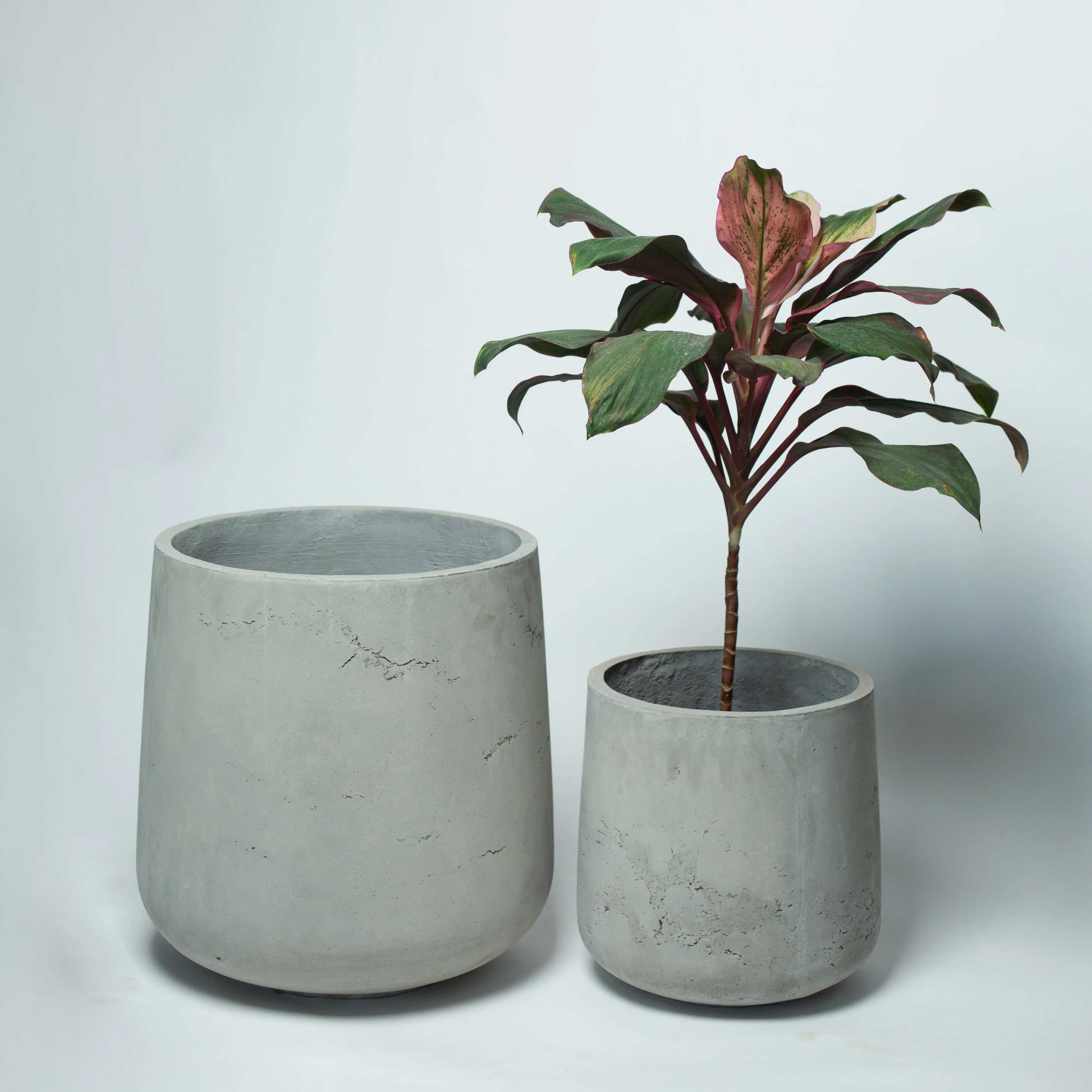 Concrete Planter - Amplo L