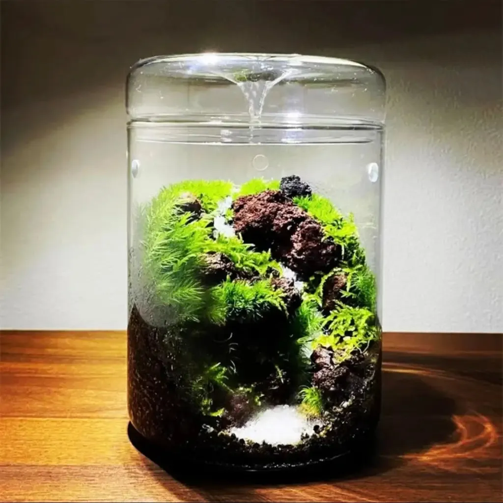 Geometric Terrarium 15cmx23cm L(R16)