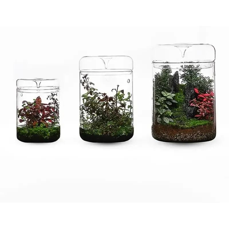 Geometric Terrarium 15cmx23cm L(R16)