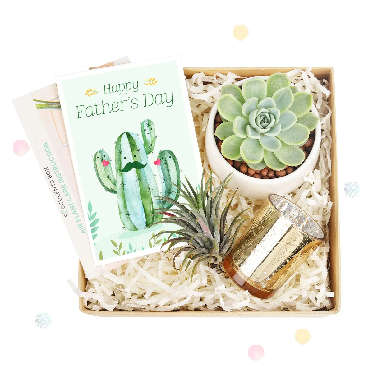 Gift Box - 1 Airplant and 1 Succulent