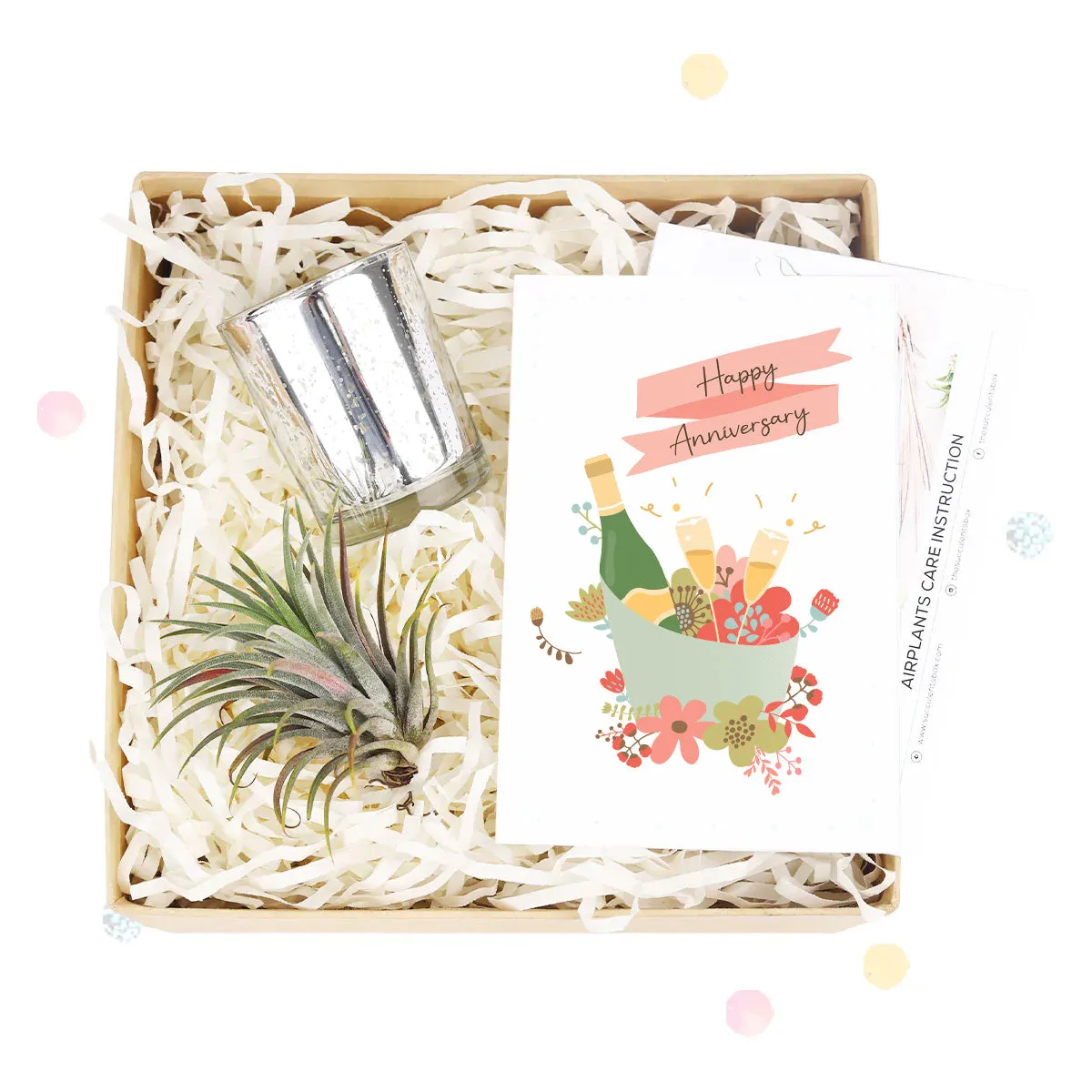 Gift Box - 1 Airplant