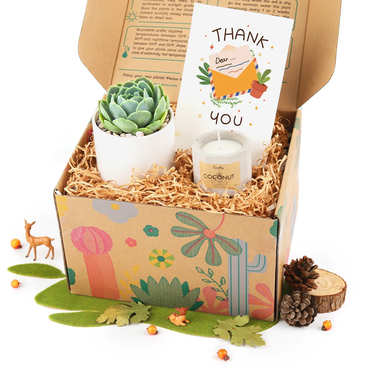 Gift Box - 1 Succulent and 1 Soy Candle