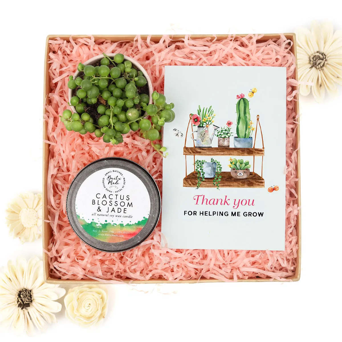 Gift Box - 1 Succulent and 1 Soy Candle