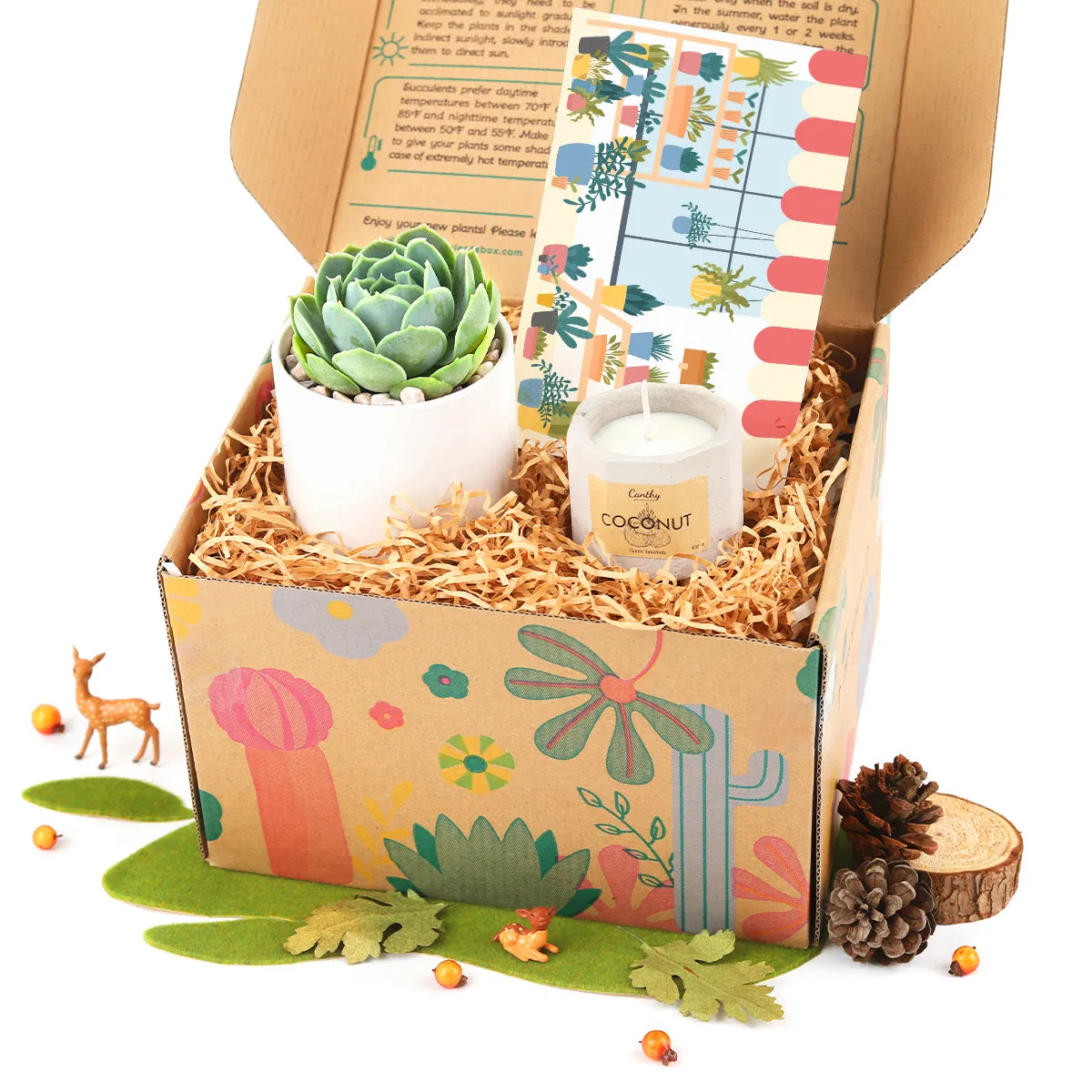 Gift Box - 1 Succulent and 1 Soy Candle