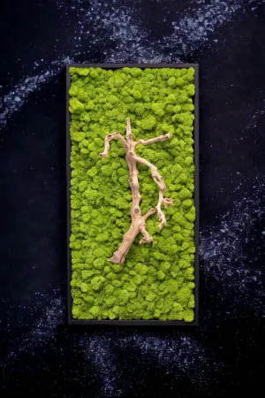 Grapevine Root & Moss Wall Art