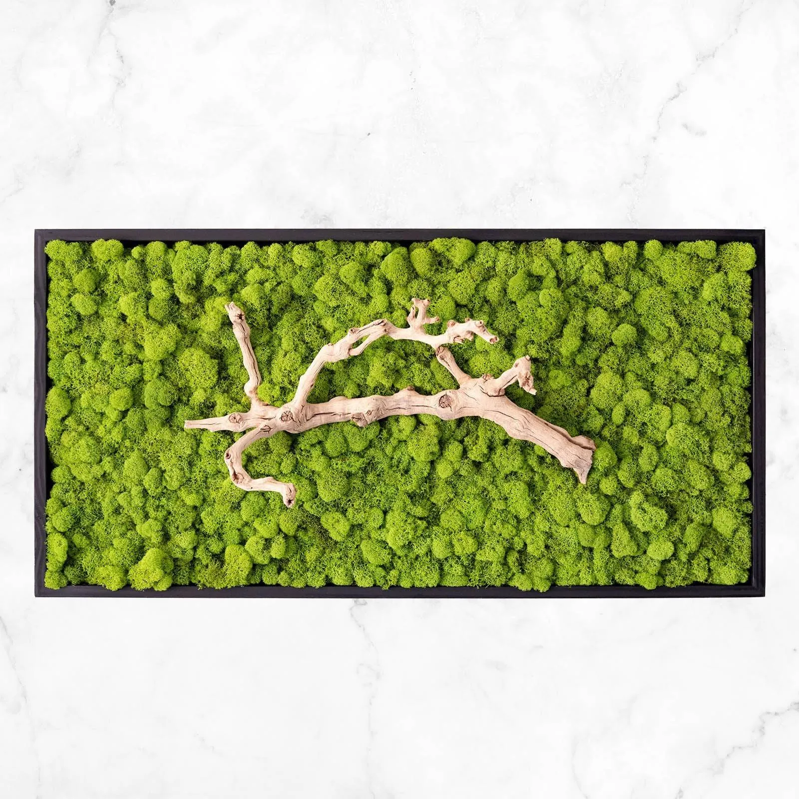 Grapevine Root & Moss Wall Art