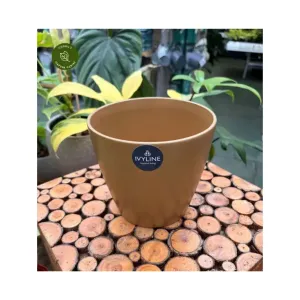 Ivyline Poinsettia Planter Gold 14.5cm Pot