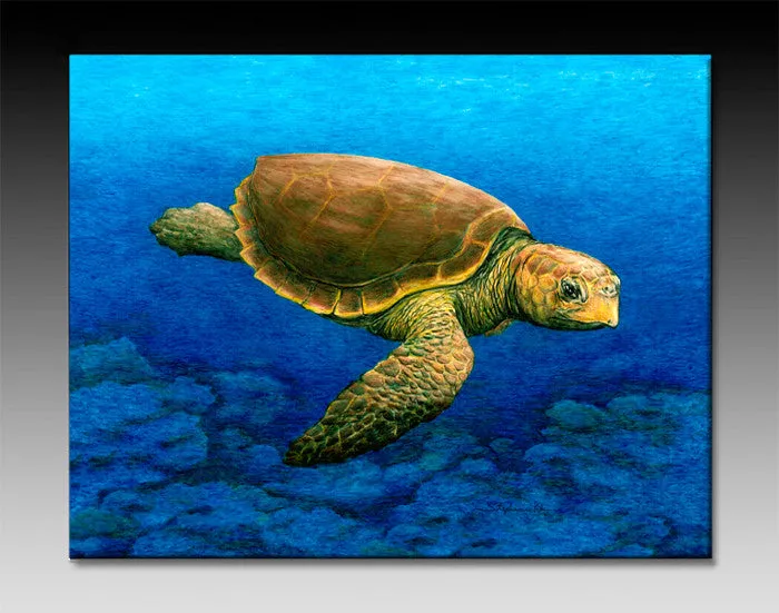 Loggerhead Turtle Ceramic Tile