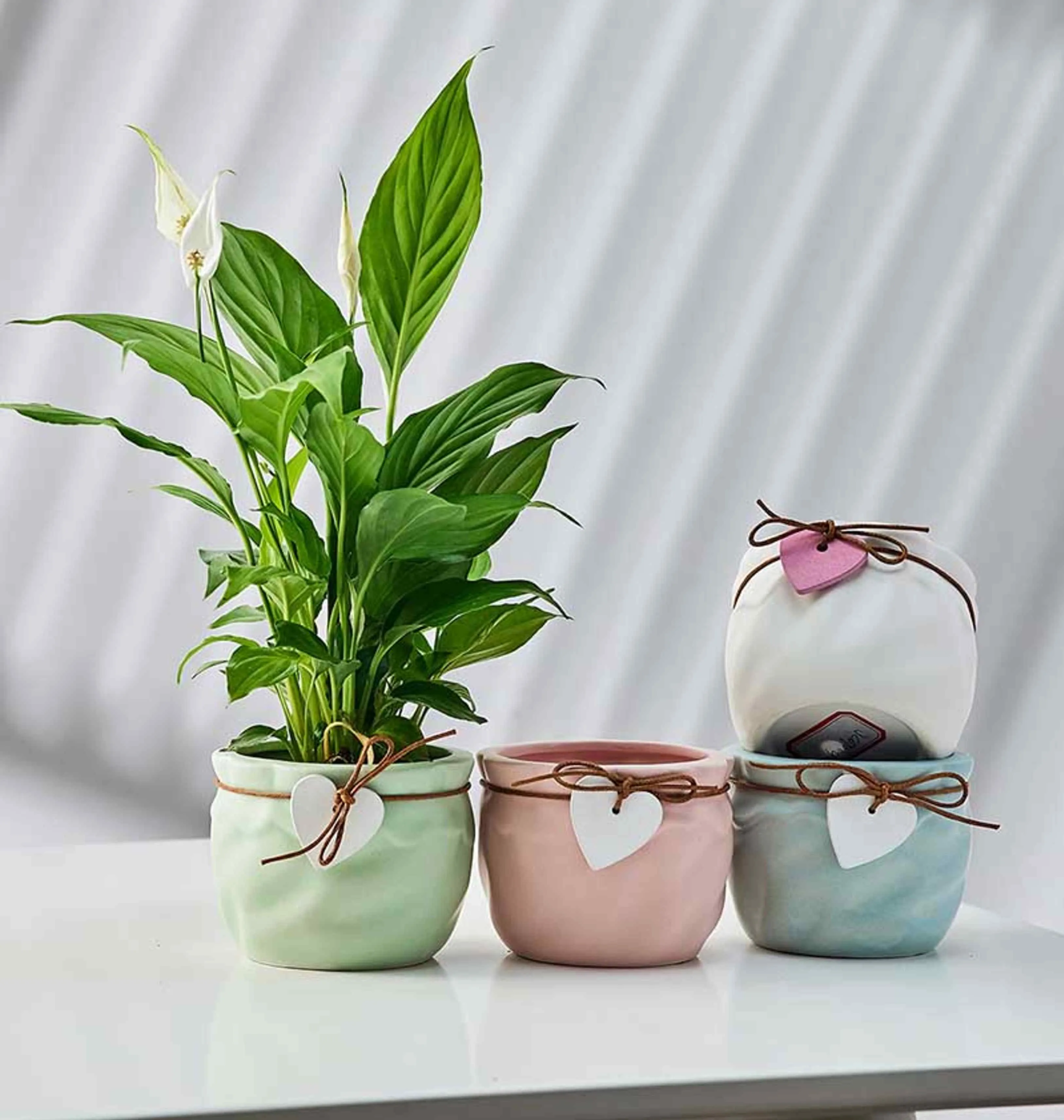 Pastel Heart Charm Ceramic Planters  - Mini heart tag plant pots