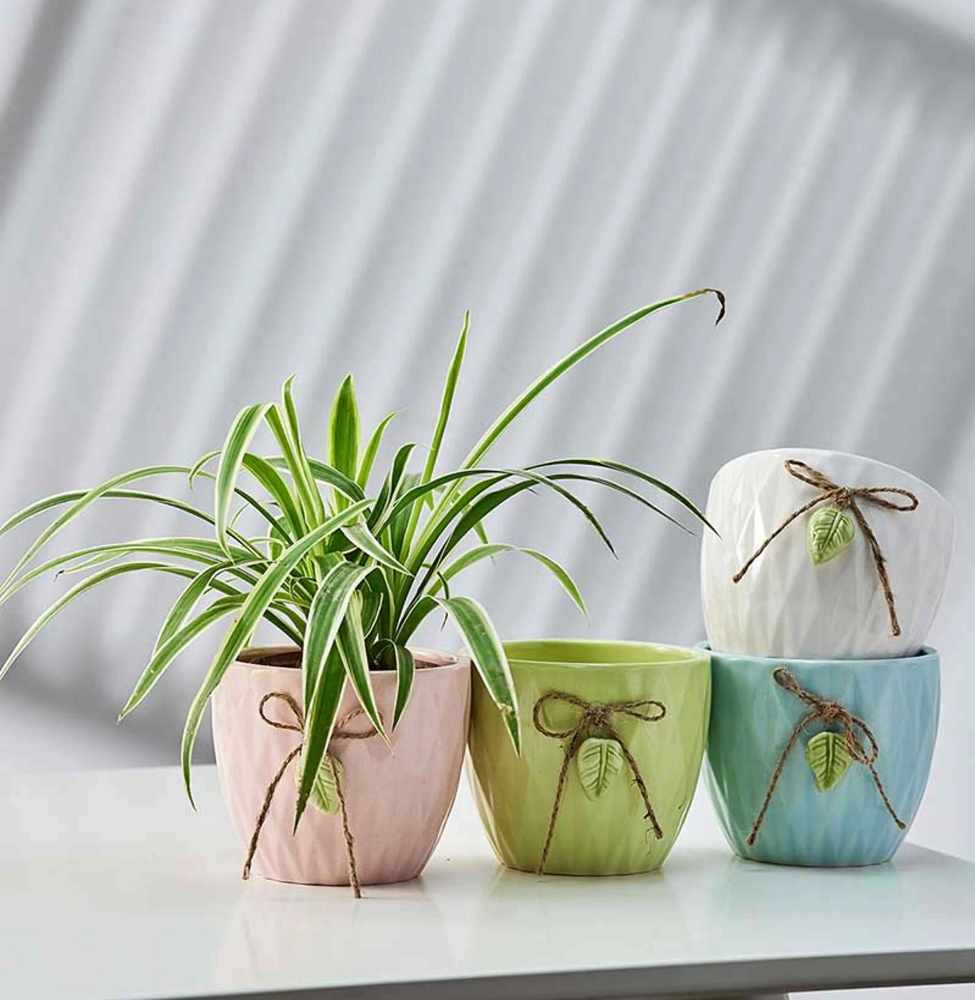 Pastel Leaf Charm Ceramic Flower Pots