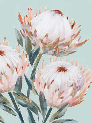 Pastel Waratah II Framed Art Print