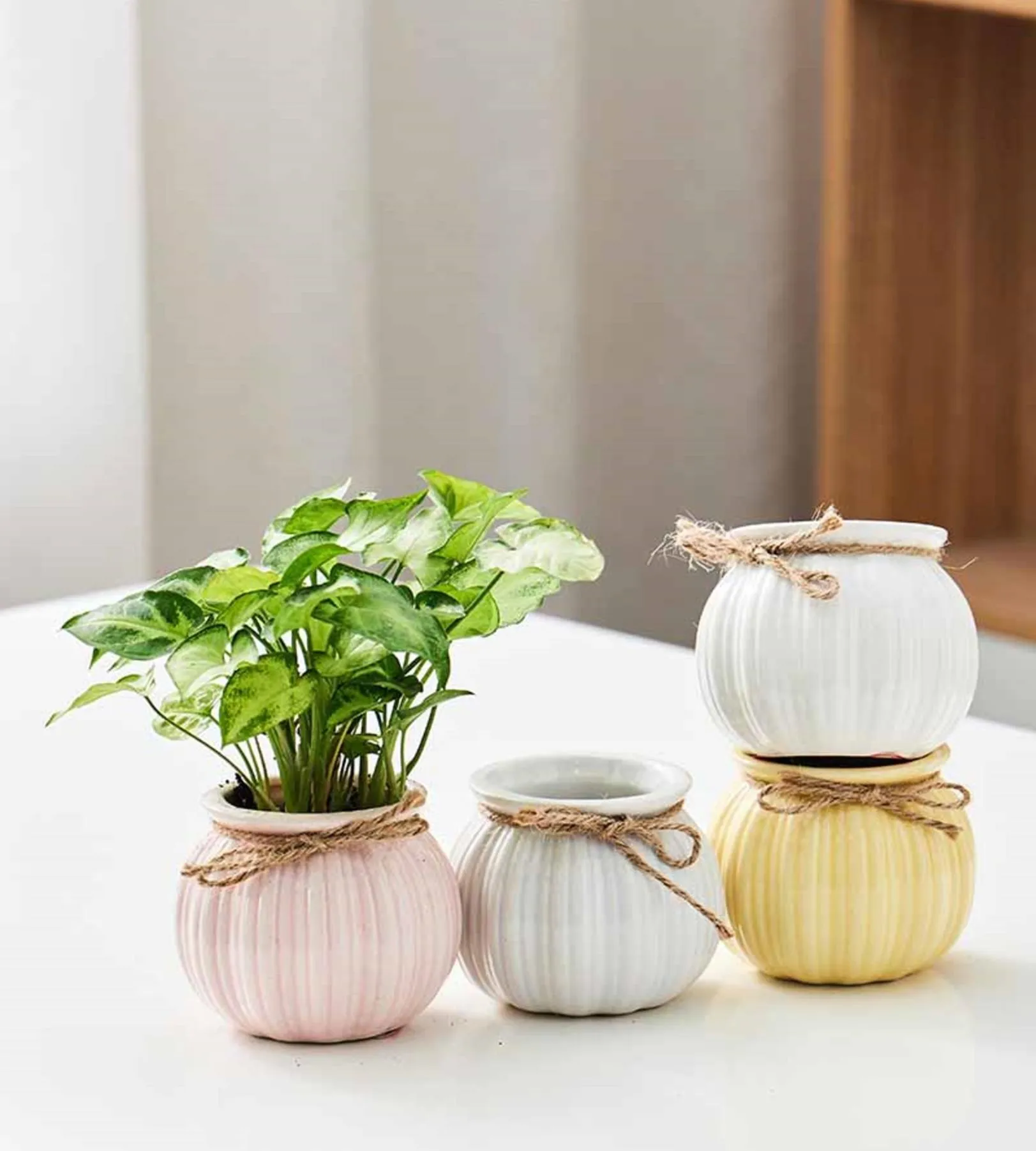 Soft-Toned Pumpkin Planters for Small Indoor Plants