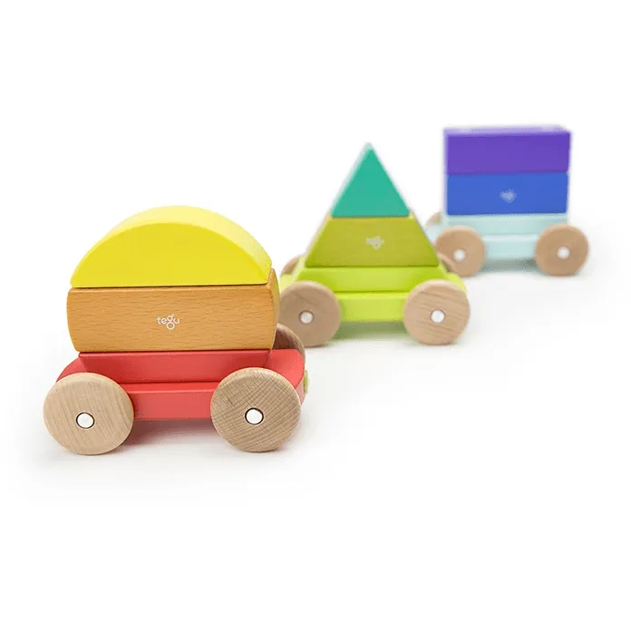 Tegu Magnetic Shape Train Rainbow